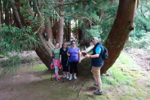 photo op with a unique tree along the trail...one of many!