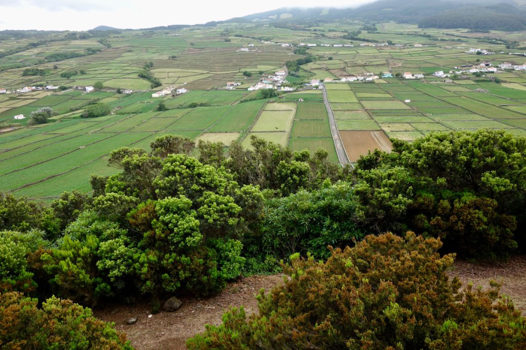 The view from Terceira's Pico Matius Simao