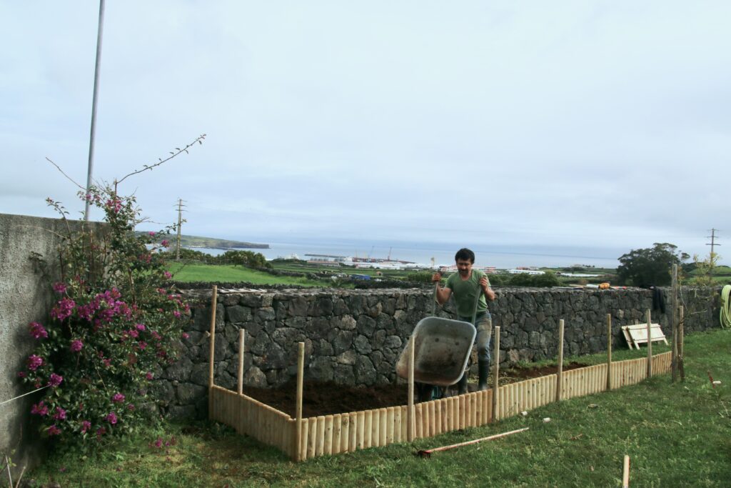 Paulo is a neighbor successful in building up vegetable gardens and he is helping us out with a new one.