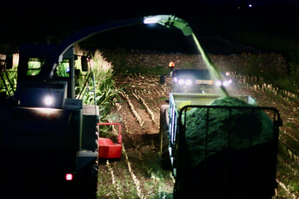 Tractors and combines harvest summer corn crap late one night getting ready to feed livestock for the winter.