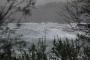 Ocean in high winds and trees blowing