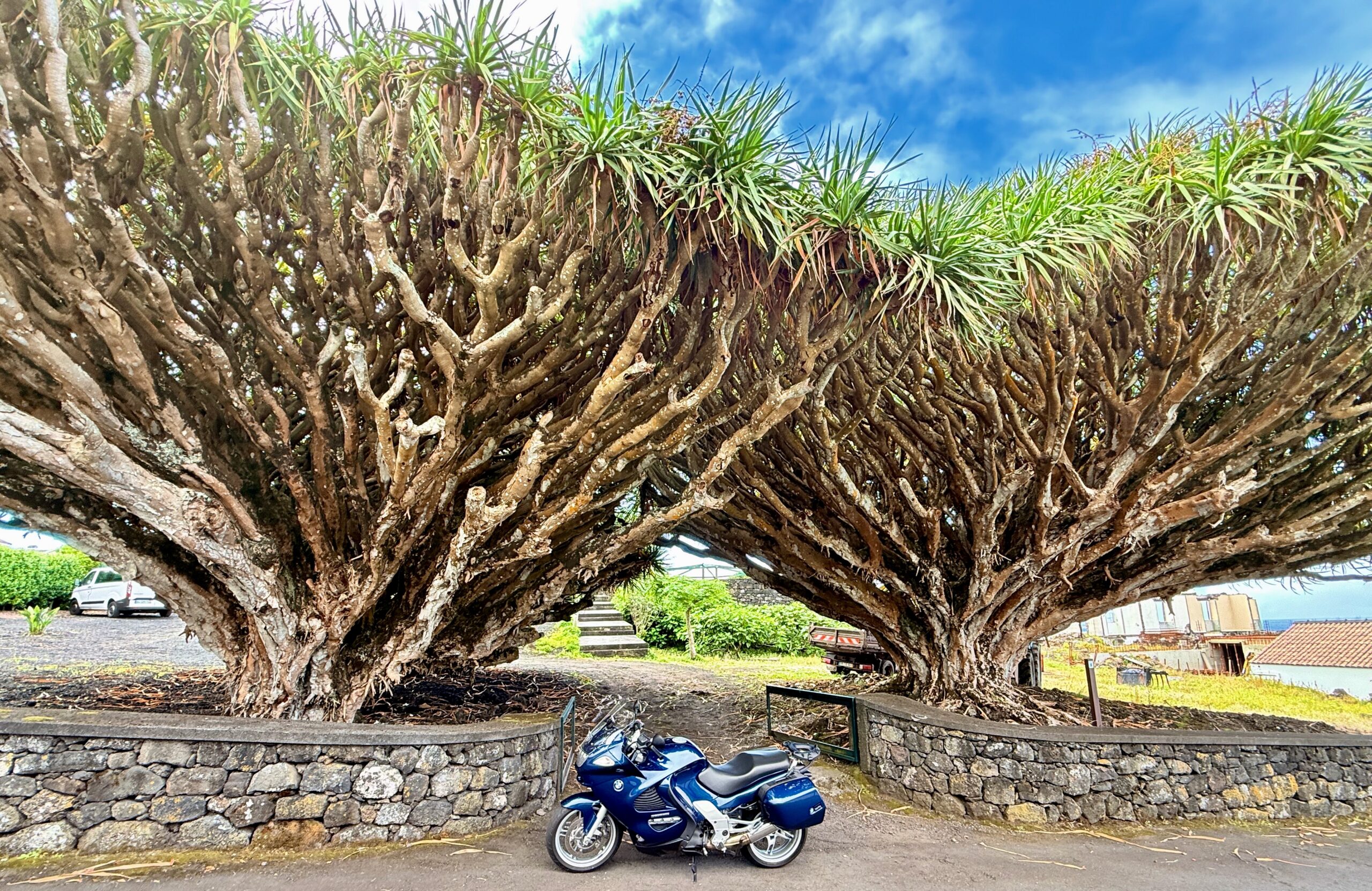 BMW Motorcycle Sonho under cool trees